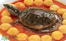 喝甲魚湯有什么好處？甲魚湯的功效與作用