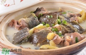 甲魚湯孕婦能喝嗎？甲魚湯孕婦可以喝嗎