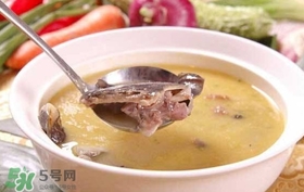 如何區(qū)分野生甲魚？野生甲魚辨識圖片