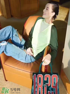 delvaux1829包多少錢？delvaux1829透明手袋專柜價格