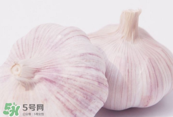 新蒜頭多少錢一斤2017？新蒜頭市場價格