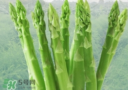 蘆筍過敏怎么辦？蘆筍過敏怎么處理？
