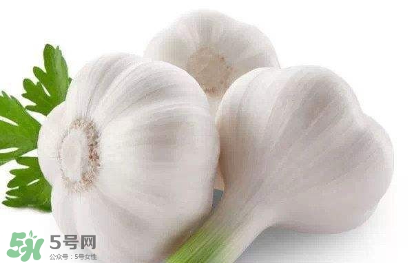 新蒜頭多少錢一斤2017？新蒜頭市場價格