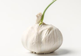 新蒜頭怎么保存不發(fā)芽？新蒜頭怎么存放