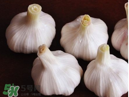 新蒜頭怎么弄成老蒜頭？新蒜頭和老蒜頭的區(qū)別