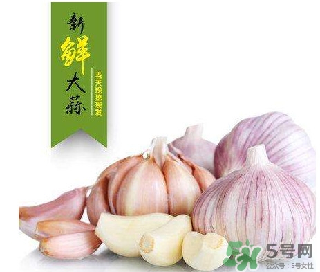 新蒜頭什么時(shí)候上市？新蒜頭幾月份上市