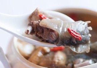 甲魚湯怎么做？甲魚湯的做法