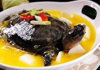 甲魚不能和什么一起吃？甲魚不能跟什么食物一起吃
