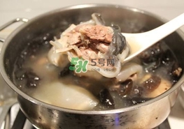 甲魚湯怎么做？甲魚湯的做法