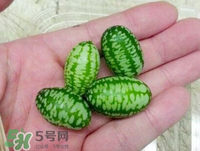 迷你西瓜能生吃嗎？迷你西瓜怎么吃