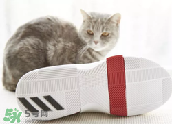 adidas dame3上腳怎么樣？阿迪達(dá)斯利拉德三代測評