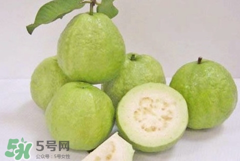 番石榴什么時候成熟？番石榴什么時候上市