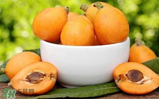 枇杷花怎么煲湯？枇杷花煲湯搭配什么最佳？