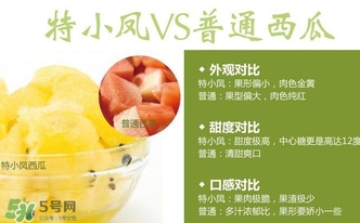 特小鳳西瓜多少錢一斤2017？特小鳳西瓜價(jià)格