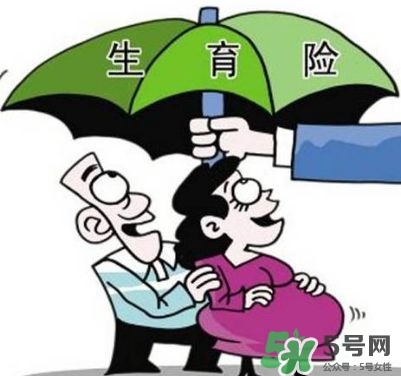 生育保險能報多少錢？生育保險報銷條件、流程