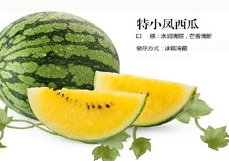 特小鳳西瓜是轉(zhuǎn)基因嗎？特小鳳西瓜是不是轉(zhuǎn)基因