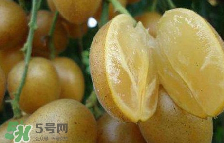黃皮果多少錢一斤2017？黃皮果價格
