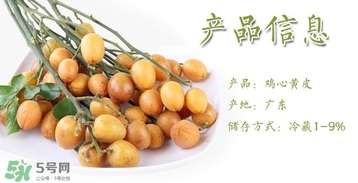 黃皮果什么時(shí)候成熟？黃皮果什么時(shí)候上市