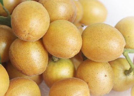 黃皮果有多少種顏色？黃皮果核有什么用處嗎