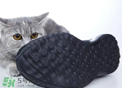 adidas alphabounce上腳怎么樣？阿迪達斯阿爾法小椰子測評