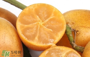 黃皮果怎么保存？黃皮果如何保存