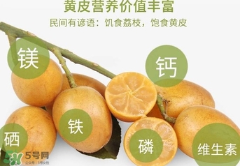 如何種植黃皮果？黃皮果怎么種植？
