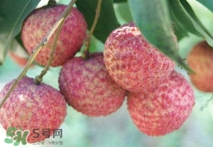 荔枝吃多了會怎么樣？荔枝上火怎么辦？