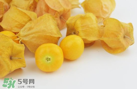 姑娘果是寒性嗎？姑娘果是涼性還是熱性？