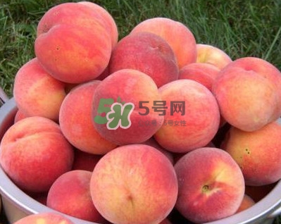 紅不軟桃?guī)自路莩墒?？紅不軟桃什么時(shí)候成熟