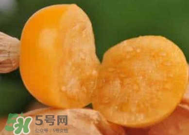 姑娘果是寒性嗎？姑娘果是涼性還是熱性？