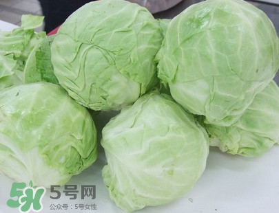 圓白菜怎么做好吃？圓白菜有什么功效
