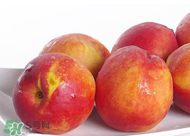 吃油桃會拉肚子嗎？拉肚子可以吃油桃嗎？