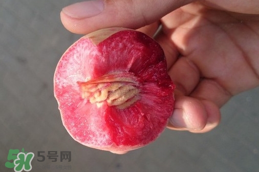 血桃產(chǎn)地在哪？血桃哪些地方產(chǎn)
