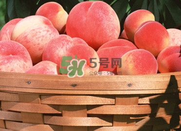 血桃多少錢一斤2017？血桃哪個品種最好吃
