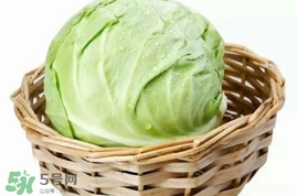 圓白菜是包菜嗎？圓白菜是大頭菜嗎？
