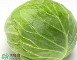 圓白菜是什么菜？圓白菜能生吃嗎？