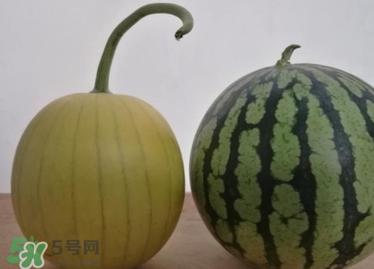 四色瓤西瓜是轉(zhuǎn)基因嗎？四色瓤西瓜是不是轉(zhuǎn)基因？