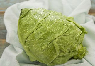 圓白菜是包菜嗎？圓白菜是大頭菜嗎？