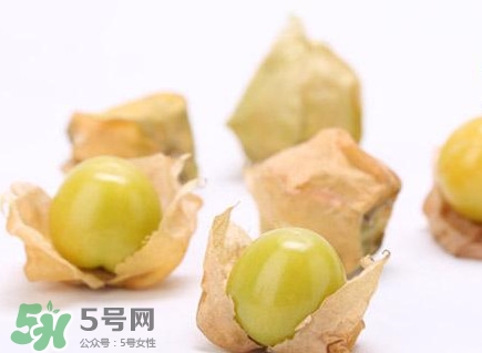 姑娘果什么時(shí)候成熟？姑娘果什么時(shí)候上市