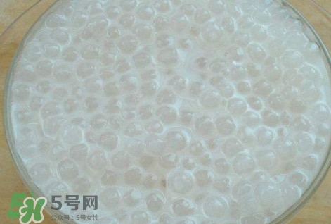 楊枝甘露是比喻什么？楊枝甘露是什么
