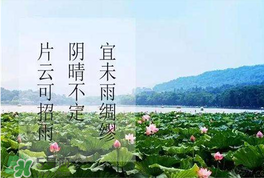 夏至是入伏嗎？夏至后多久入伏？