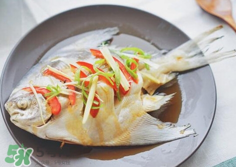 鱸魚刺多嗎？鱸魚適合做給寶寶吃嗎？
