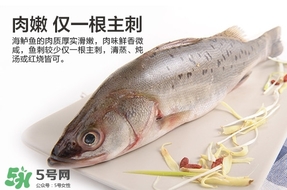 鱸魚是海鮮嗎？鱸魚是不是海鮮？