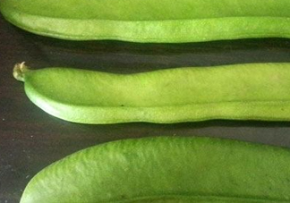 刀豆是四季豆嗎？刀豆和四季豆的區(qū)別