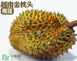 紅心榴蓮多少錢一斤？紅心榴蓮為什么這么貴？