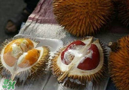 紅心榴蓮多少錢一斤？紅心榴蓮為什么這么貴？