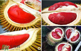 紅心榴蓮叫什么？紅心榴蓮是哪個(gè)國(guó)家產(chǎn)的？