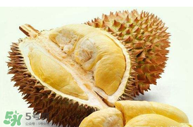紅心榴蓮是轉基因的嗎？紅心榴蓮是不是轉基因？