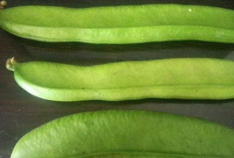 刀豆是發(fā)物嗎？刀豆是不是發(fā)物