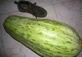 菜瓜怎么炒好吃？菜瓜怎么做好吃